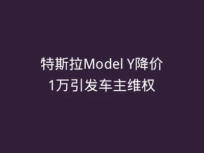 特斯拉Model Y降价1万引发车主维权