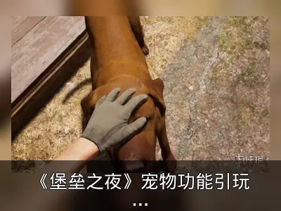 《堡垒之夜》宠物功能引玩家吐槽