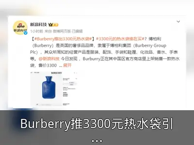 Burberry推3300元热水袋引发热议