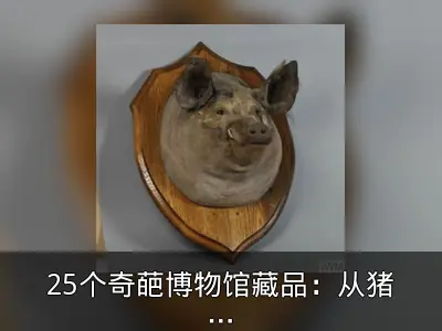 25个奇葩博物馆藏品：从猪头标本到假人头