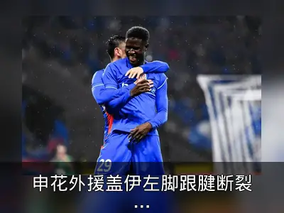 申花外援盖伊左脚跟腱断裂将手术
