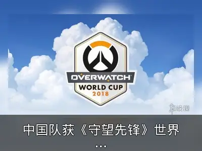 中国队获《守望先锋》世界杯亚军，韩国队卫冕