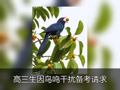 高三生因鸟鸣干扰备考请求拆鸟巢 校长回信婉拒并赠耳塞