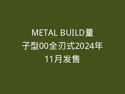 METAL BUILD量子型00全刃式2024年11月发售