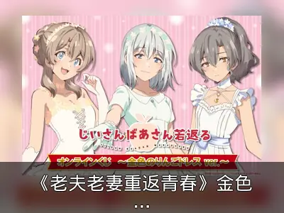 《老夫老妻重返青春》金色苹果礼服抽奖活动