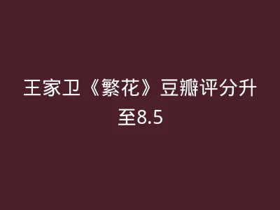 王家卫《繁花》豆瓣评分升至8.5