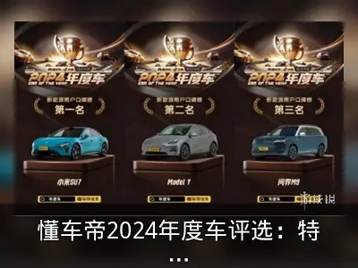 懂车帝2024年度车评选：特斯拉Model Y不敌小米SU7