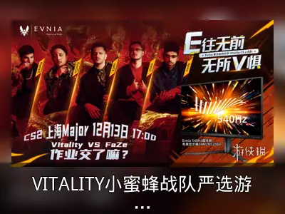 VITALITY小蜜蜂战队严选游戏显示器回顾