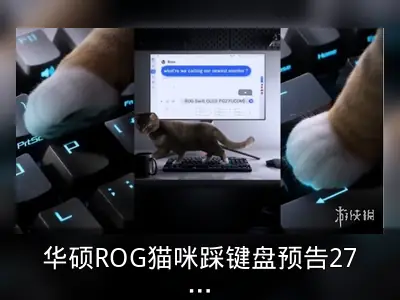 华硕ROG猫咪踩键盘预告27寸4K OLED显示器