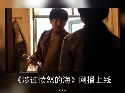 《涉过愤怒的海》网播上线，豆瓣7.4分
