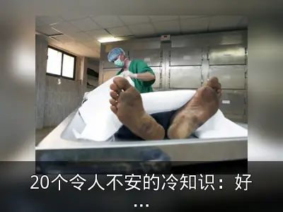 20个令人不安的冷知识：好友皮裤与死亡勃起