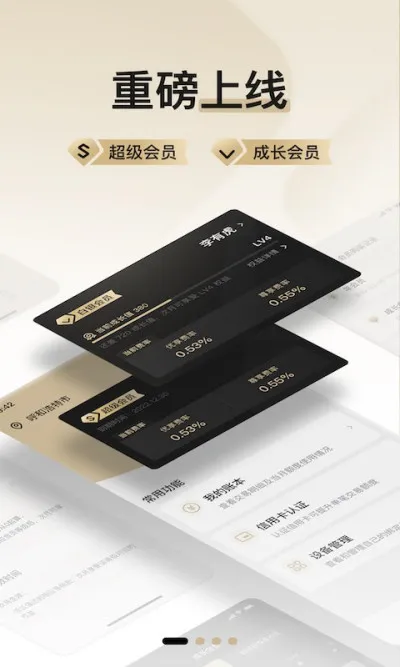 支付通Plus