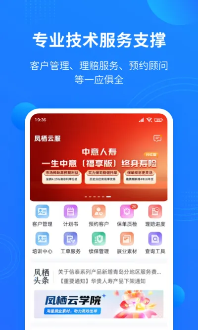 凤栖云服