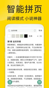 ViaX浏览器
