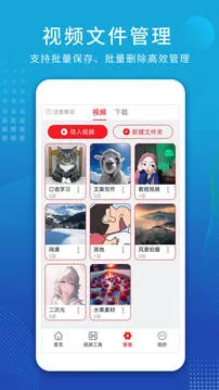 视频解析大师