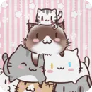 开心猫舍