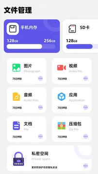 净化大师