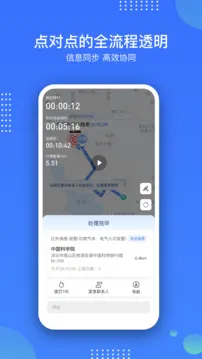 庇虎