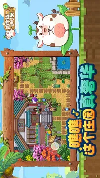 奶牛镇的小时光