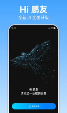鲲鹏无限